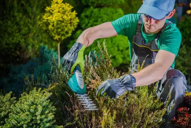 landscaping services Lakeshire